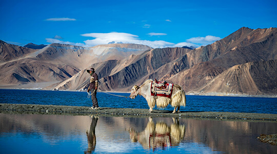 Ladakh Tour with Durvankur Holidays
