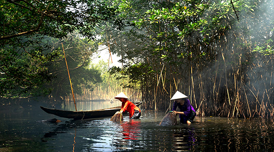 Vietnam Tour with Durvankur Holidays